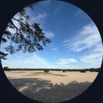 Kopie van Foto Joost (2)